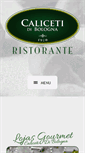 Mobile Screenshot of caliceti.com.br